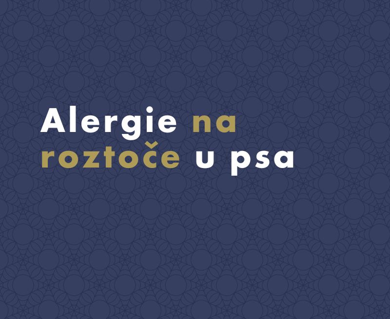 Alergie na roztoče u psa