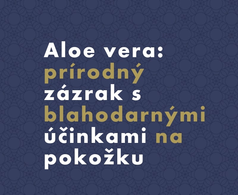 Aloe vera: Aké má účinky na pleť a pokožku?