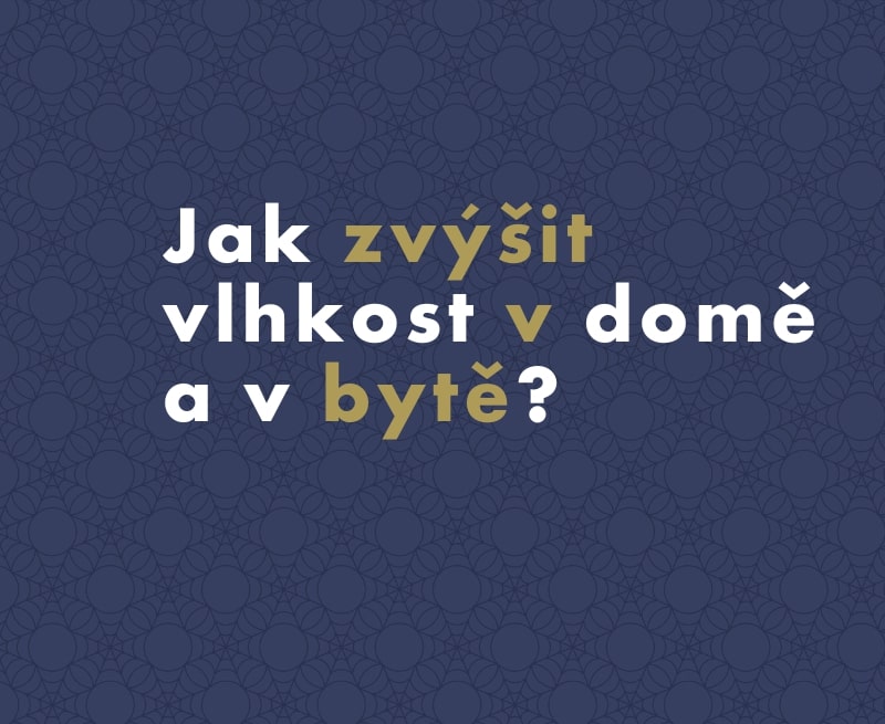 Jak zvýšit vlhkost v domě a v bytě?