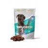 geloren dog l xl