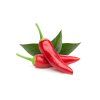 Chili Pepper plant 1200x960 e5694417 35fa 4b98 87e5 dcbd1f980d86 1200x 1