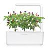 sg3 white purple chili 1200x1200 6f640f14 433b 4b23 b6e9 2033021372c1 1200x