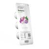 Petunia 3pack whitebg 1200x